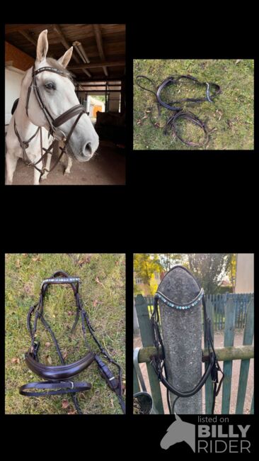 Trense My Unicorn, My Unicorn  Ravenna , Josi , Bridles & Headstalls, Senftenberg , Image 8