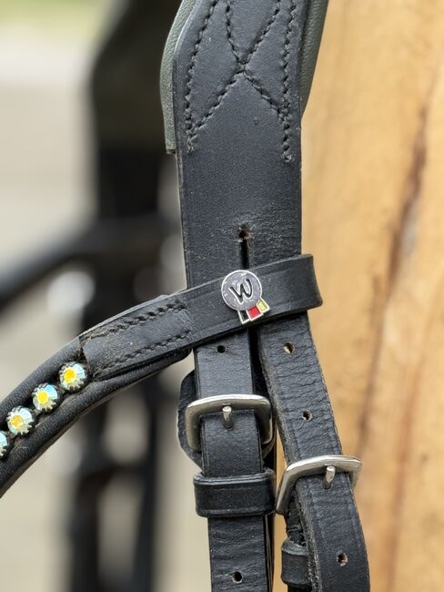 Trense Olive Waldhausen, Waldhausen Olive, Selina , Bridles & Headstalls, Königsbronn, Image 3