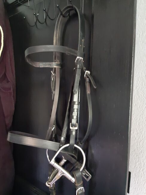 Trense Pony, Decathlon, Lianne Dagan , Bridles & Headstalls, Langgöns