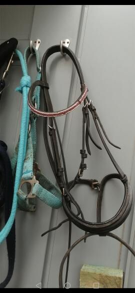 Trense pony, Showmaster Trense, Scarlett, Bridles & Headstalls, Bergen