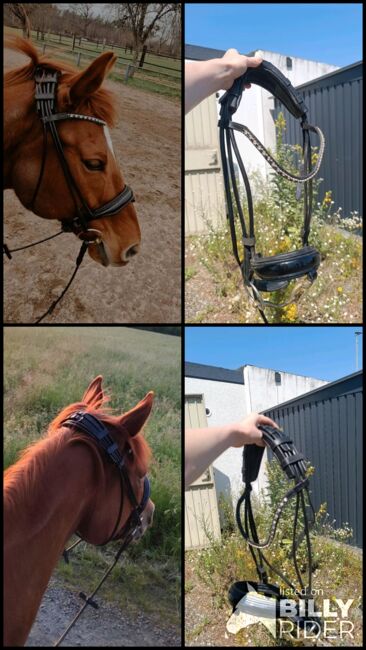 Trense rundgenäht Lack schwarz WB, Nika Horseproducts, Kathrin Ruppert, Bridles & Headstalls, Münster, Image 7