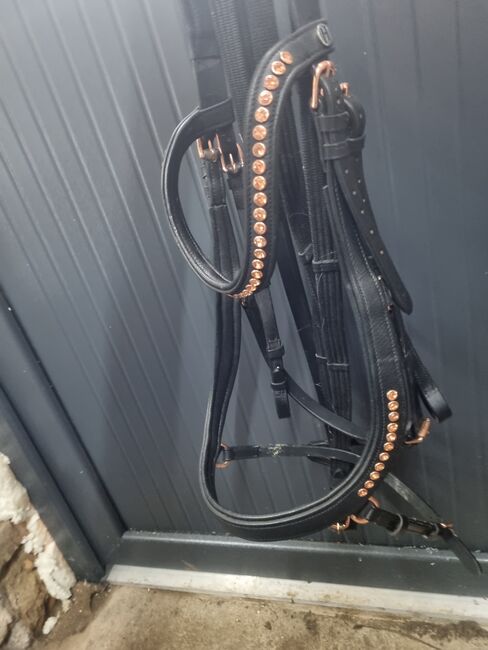 Trense neuwertig, Harry's Horse Trense Rosegold Anatomic, Jennifer , Bridles & Headstalls, Seelow , Image 2