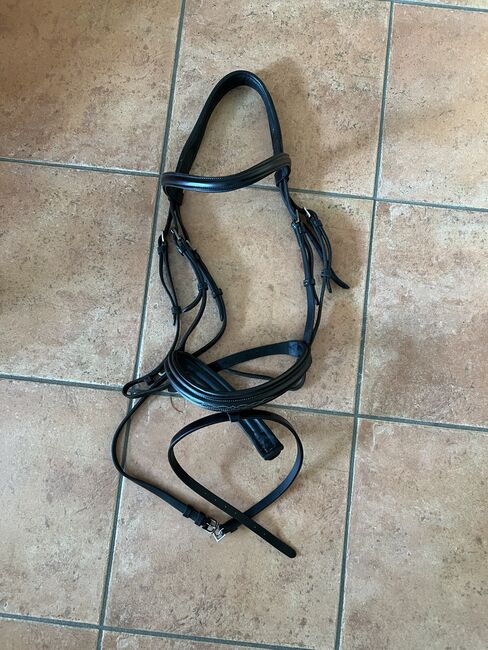 Trense Schockemöhle, Schockemöhle , Berneiser, Bridles & Headstalls, Elz
