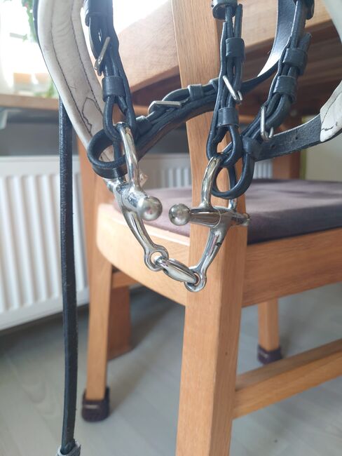 Trense, Shetty, mit Gebiss, Janina Beilfuß, Bridles & Headstalls, Ahrensbök, Image 3