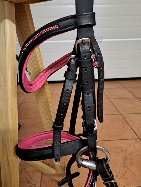 Trense shetty pink unterlegt mit Gebiss, Jara, Bridles & Headstalls, Eggermühlen