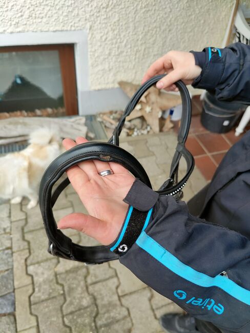 Trense Größe cob, Theresa Plötz, Bridles & Headstalls, Eggenfelden , Image 3