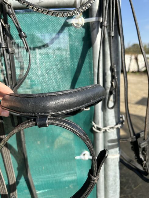 Trense schwarz Wb, Lea , Bridles & Headstalls, Nottuln, Image 3