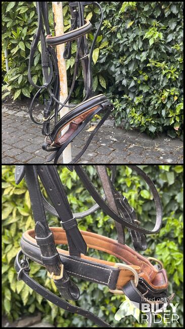 Trense schwedisches Reithalfter, Rebecca, Bridles & Headstalls, Siegburg, Image 3