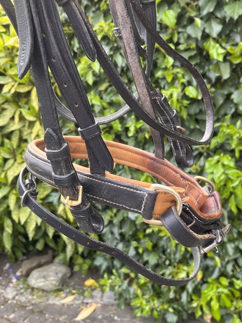 Trense schwedisches Reithalfter, Rebecca, Bridles & Headstalls, Siegburg, Image 2