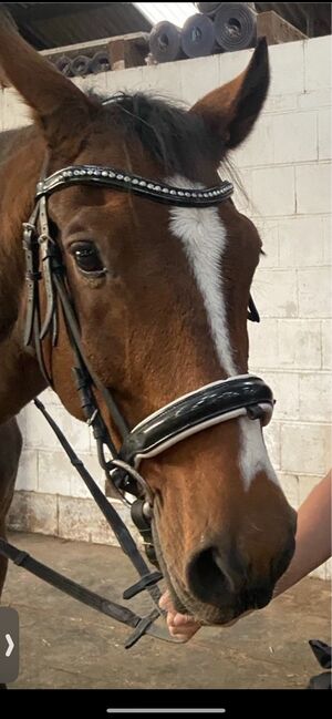 Trense (schwedisches Reithalfter), CLARIDGE HOUSE, Fabi, Bridles & Headstalls, Eßweiler, Image 2