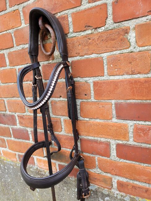 Trense zu verkaufen, Felix Bühler , Laura, Bridles & Headstalls, Gelting