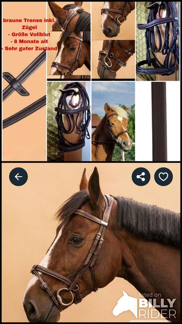 Trense zu verkaufen, Fougaza, Sabrina Kempter , Bridles & Headstalls, Wangen im Allgäu, Image 3