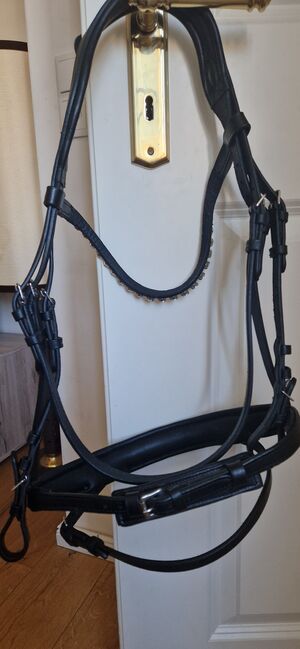 Trense+ Zügel *NEU*, Waldhausen, Vanessa, Bridles & Headstalls, Eberswalde