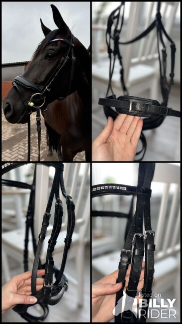 Trense Warmblut (Full), L. Köster, Bridles & Headstalls, Olpe, Image 14