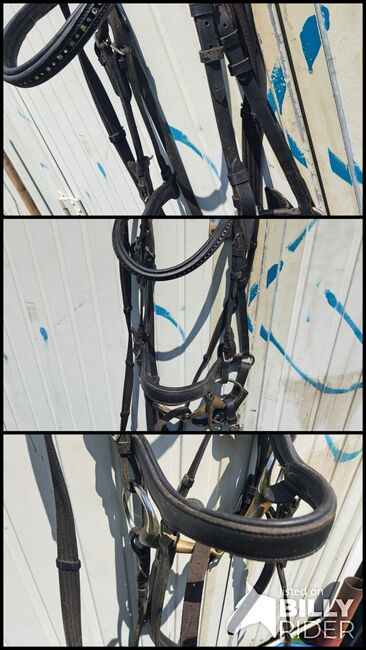 Trense VB anatomisch, Showmaster, Lisa, Bridles & Headstalls, Eppendorf, Image 4