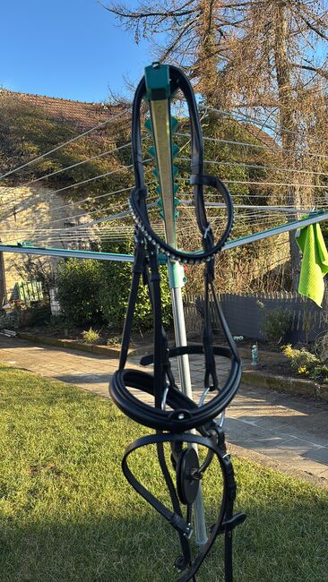 Trense Warmblut, Felix Bühler  Miami , Lilly, Bridles & Headstalls, Atzendorf 