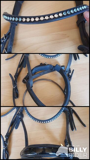 Trense WB blau/schwarz, Eveline Engel , Bridles & Headstalls, Hausen, Image 4