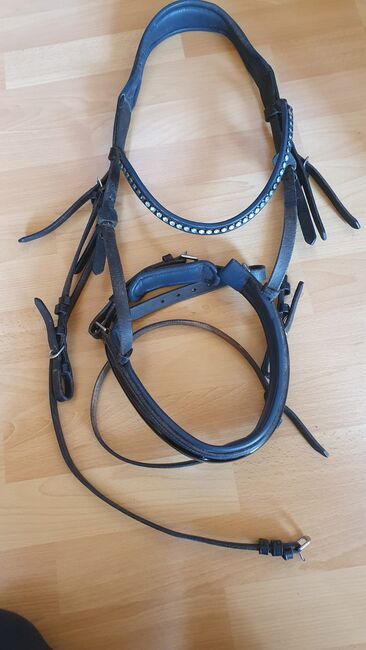 Trense WB blau/schwarz, Eveline Engel , Bridles & Headstalls, Hausen