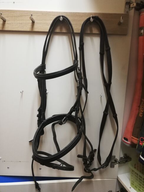 Trense WB, Judy, Bridles & Headstalls, Penig