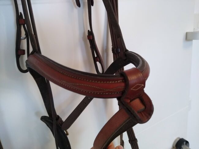 Trense WB in Havanna Braun inkl. 2 Paar Zügel in passender Farbe, Kavalkade, Julie, Bridles & Headstalls, Potsdam, Image 2