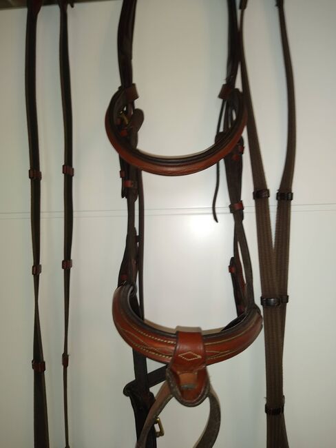 Trense WB in Havanna Braun inkl. 2 Paar Zügel in passender Farbe, Kavalkade, Julie, Bridles & Headstalls, Potsdam, Image 6