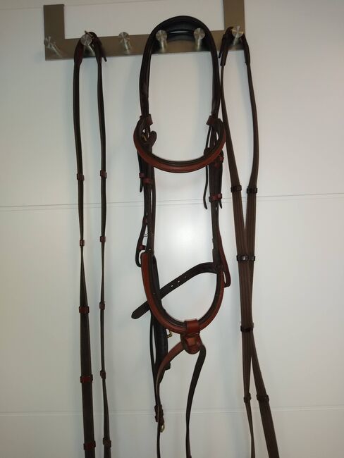 Trense WB in Havanna Braun inkl. 2 Paar Zügel in passender Farbe, Kavalkade, Julie, Bridles & Headstalls, Potsdam, Image 7