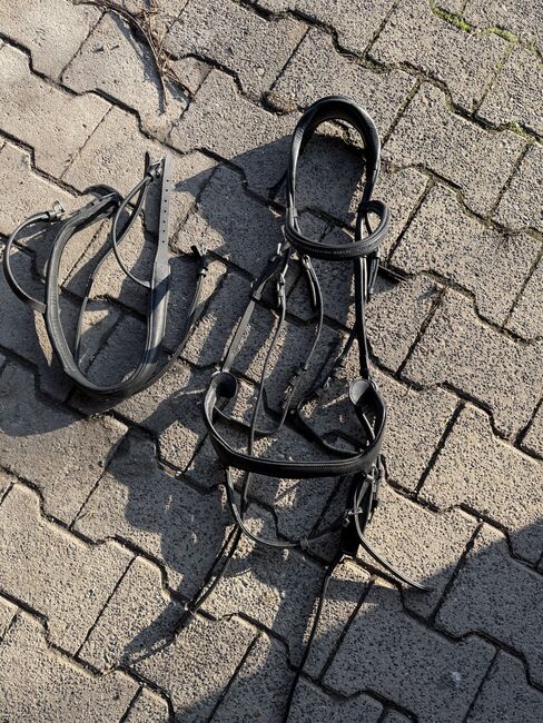 Trense WB, ähnlich Micklem, Claridge House, Julie , Siodło akcesoria, Bad Karlshafen