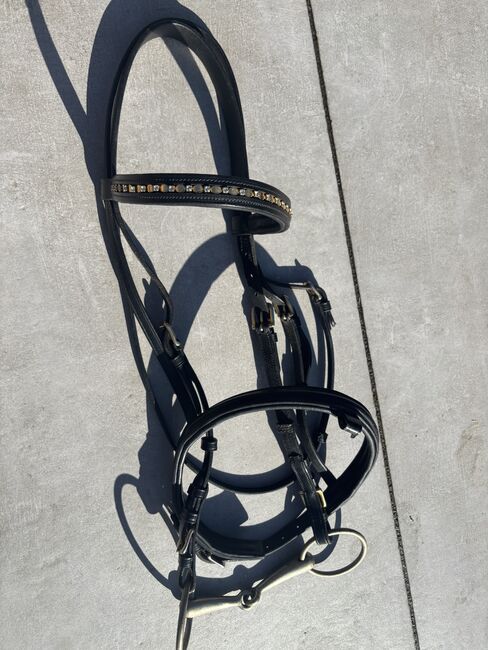 Trense mit Goldenen Details, Trense mit Goldenen Details , Angelina , Bridles & Headstalls, Steinbach am Glan