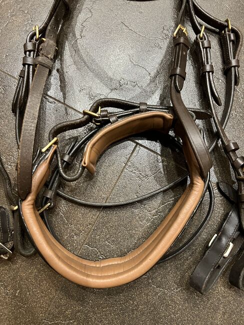 Trense mit Lackfarbenem Nasenriemen, Katja Ott, Bridles & Headstalls, Bernbeuren, Image 2