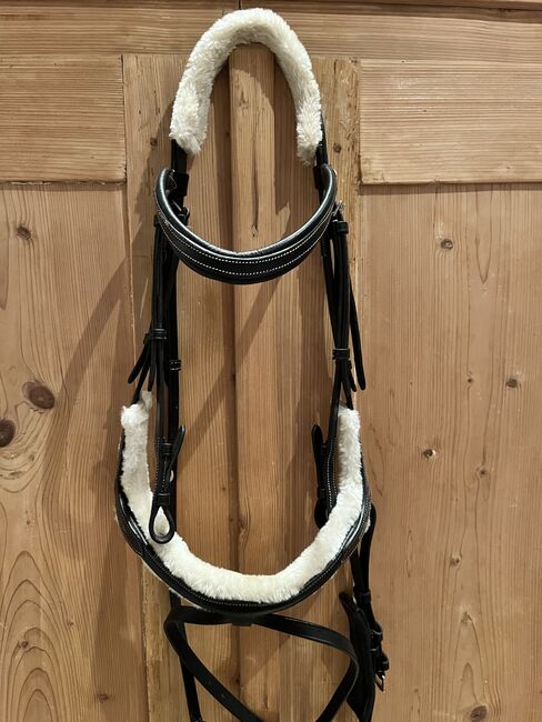 Trense mit Teddy Fell Qhp, QHP, Emma, Bridles & Headstalls, Diedorf