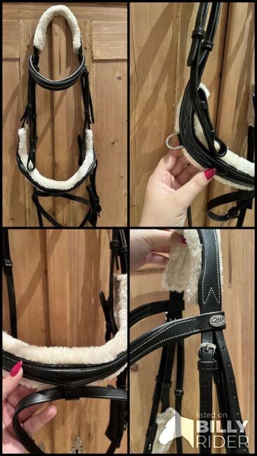 Trense mit Teddy Fell Qhp, QHP, Emma, Bridles & Headstalls, Diedorf, Image 5