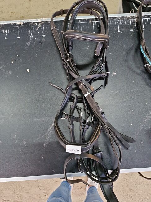 Trensen WB, Vanessa Dannehl, Bridles & Headstalls, Parey, Image 2