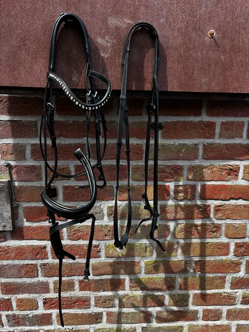 Trense Kavalkade WB, Kavalkade, JH , Bridles & Headstalls, Utarp 