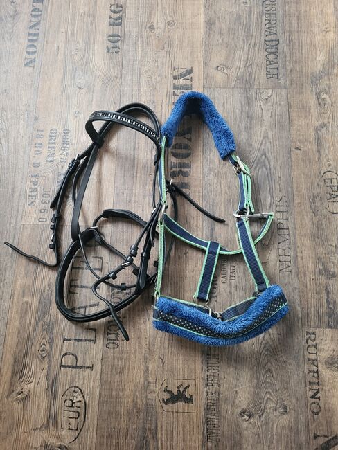 Trense für Pony., Melanie , Bridles & Headstalls, Hollenstedt , Image 2