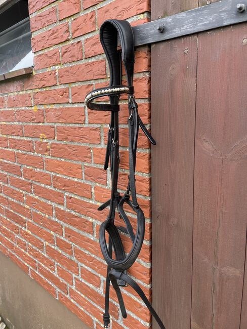 Trense Soft, Cladrige House , Helene , Bridles & Headstalls, Groß Vollstedt, Image 2