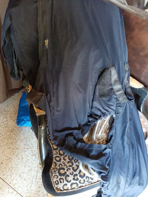 Snuggy Hoods indoor/outdoor body suit., Snuggy Hoods, Carolyn Thow, Derki dla konia, Alvarado, Image 2