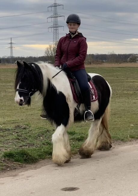 Suche Reitbeteiligung mit Möglichkeit auf Unterricht (Mensch sucht Pferd), Antonia, Horse Sharing, Groß-Gerau