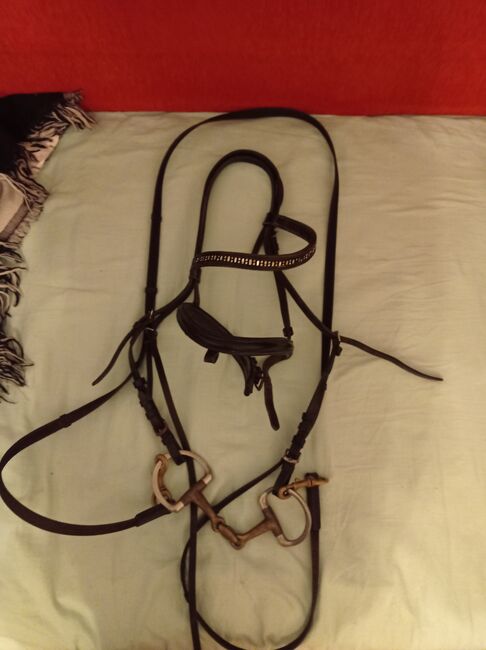 Zaum Cortus, Krämer Zaum Cortus, Lara Ozimek, Bridles & Headstalls, Hilden