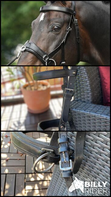 Weicher Kappzaum ohne Eisen, Busse Kappzaum FIT-PRO, Andrea , Lunging, Eschenbach LU, Image 4