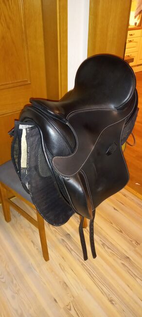 VERKAUFT!! Barefoot Wellington Dressur, inkl. Pad und Zubehör, Barefoot  Wellington , Katrin Kamm , Treeless Saddle, Arberg, Image 7