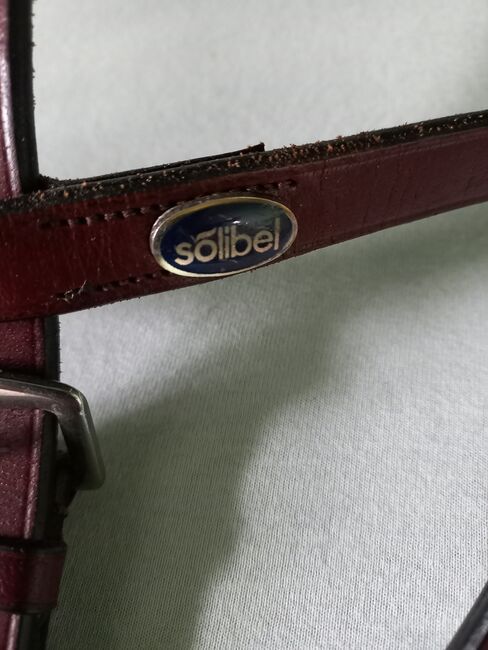 ⭐Solibel/NEUES Leder-Martingal WB⭐, Solibel, Familie Rose, Training Aids, Wrestedt, Image 2