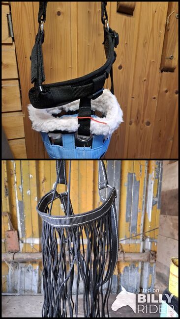 Sommer hlfter u eine Fresstrense, Keine, Gabriele Zink, Bridles & Headstalls, Lauf, Image 3