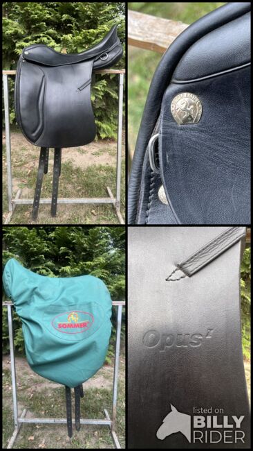 Sommer Opus Tölt, Sommer Opus Tölt, Christiane Rahlwes, Icelandic Saddle, Hanstedt I, Image 7