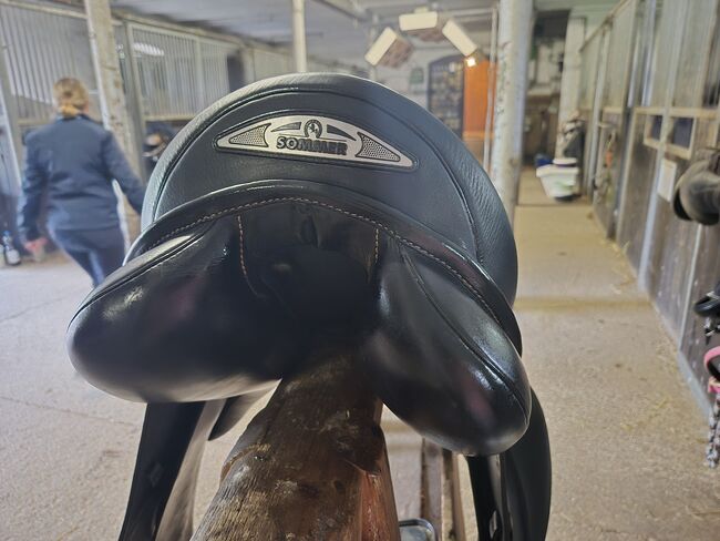 Sommer Diplomat 17.5 zoll, Sommer Diplomat, Sabrina, All Purpose Saddle, Augsburg, Image 6