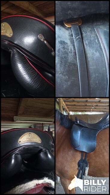Sommer Evolution, Sommer Evolution, Sylvia Haneklaus, Endurance Saddle, Nordhorn, Image 14
