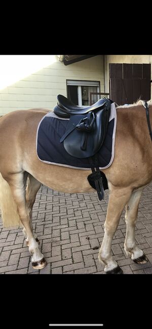 SOMMER DRESSUR, Sommer Royal, Sarah , Dressage Saddle, Bad Hersfeld, Image 10