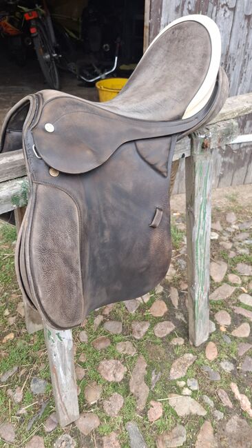 Sommer Diplomat Exclusiv 17,5 VS, Sommer  Diplomat Exclusiv , Peggy Schmidt , All Purpose Saddle, Niebendorf-Heinsdorf, Image 2