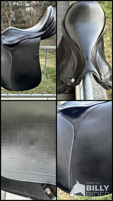 Sommer Diplomat VS, 17,5 Zoll, Sommer Diplomat Vs, Katharina , All Purpose Saddle, Pfaffen-Schwabenheim, Image 10