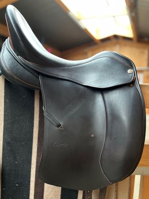 Sommer Dressursattel"Esprit", Sommer  Esprit, Valerie R., Dressage Saddle, Weißach, Image 5