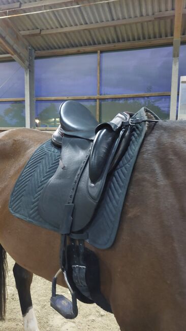 Sommer Dressursattel Novalis Monoblatt von 11/24 + Neupolsterung, Sommer Novalis Dressursattel Monoblatt, Anja Duldhardt, Dressage Saddle, Würzburg, Image 7
